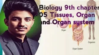 Biology | 5th chapter | Tissues, organs and organ system@onlyforeducation.@dr.hafizsultan