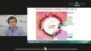 Генетическая характеристика вирусов SARS-CoV-2, выявленных на территории России (Комиссаров А.Б.)