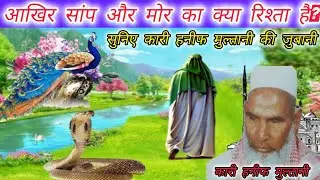 आखिर सांप और मोर का क्या रिश्ता है सुनिए कारी हनीफ मुल्तानी की जुबानी 