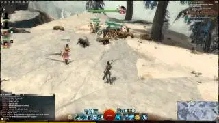 Bots guild wars 2