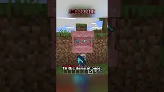 SHELVES ARE IN MINECRAFT. (new snapshot)