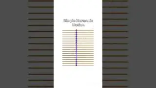 Circular Motion to Transverse Waves: The Physics Connection Explained