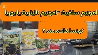 نائیژروجن کا کونسا سورس فائدہ مند