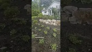 Perennial install tying into the walkway and foundation planting we did three years ago.