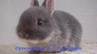 Opening Part 3 - Mrs Baskin