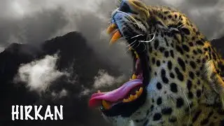 HIRKAH - трейлер к новому фильму | Киностудия Aves