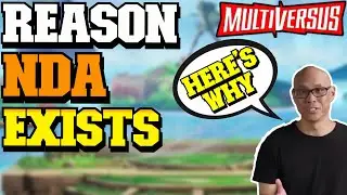 Multiversus | REASON Why its still under NDA