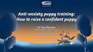 Anti-anxiety puppy training: how to raise a confident puppy