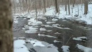 Winter Snow Hike - Hilton Falls - Milton, Ontario, Canada