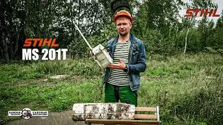 Бензопила сучкорез одноручная STIHL MS 201 T с шиной 12