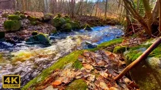 1-hour Yoga Piano Background Music 4K UHD| Healing, Meditation, Zen, Therapy, Study