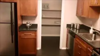The Amberleigh Apartments Video Tour: 2 Bedroom / 1 Bathroom Terrace