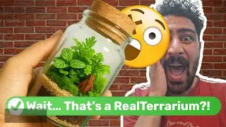 DIY Closed Bottle Terrarium | Tiny Self-Sustaining Garden in a Jar