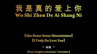 Wo Shi Zhen De Ai Shang Ni【我是真的爱上你】Karaoke Male