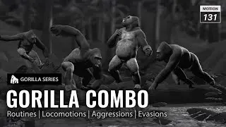 Gorilla Combo - Full Gorilla Mocap Set for All Actions | for iClone and ActorCore