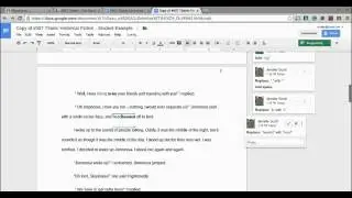 Example Giving Student Writing Feedback with Video