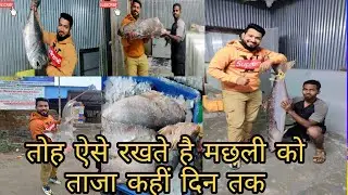 Fish cold storage mumbai( satpati)।। समंदर की मछली को ताजा रखने का तरीका।। सातपति कोल्ड स्टोर