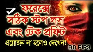 Where to Properly Use Stop Loss and Take Profit | Bengali Forex Tutorial | BD PIPS