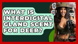What Is Interdigital Gland Scent For Deer? - The Marksman's Journal