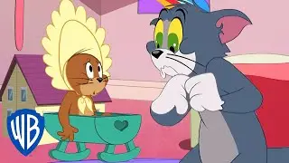 Tom & Jerry in italiano 🇮🇹 | Jerry viene adottato | WB Kids