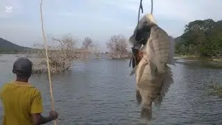 ඉස්සො ගහලා අල්ලන මාළු🎣🦐|හවස් වරුවක්#fishinglife 