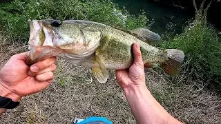 Bass Fishing with the 6th Sense Bongo Creature Bait! 