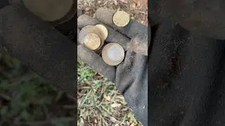 COIN SPILLS in Australia ADD up 💰 😃 #shorts #metaldetecting