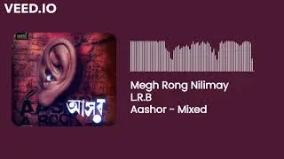 LRB - Megh Rong Nilimay