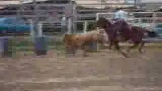 36º Rodeio CTG Os Praianos