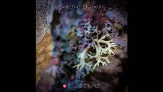 Skytechnic - Organicum [Full EP]