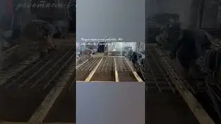 #мы русские#вахта#мыработаем#в#приморье#шаман#хабаровскийкрай