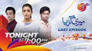 Meri Guriya | Episode 55 | Last Episode | AAN TV