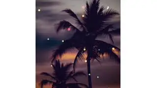 Mi hay koli whatsapp status video