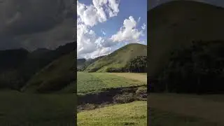limpeza de pasto