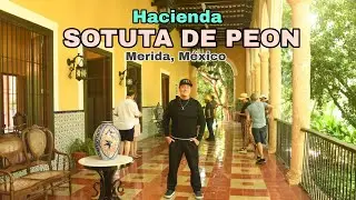 Hacienda Sotuta de Peon / La desaparición del Henequen / Merida Yucatán  . México.
