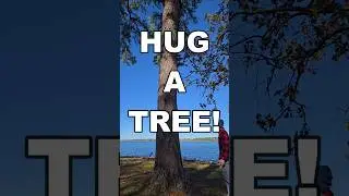 Go Hug A Tree! #treehugger #hug #naturelover #mentalhealth #reducestress #improvefocus #shorts #hug