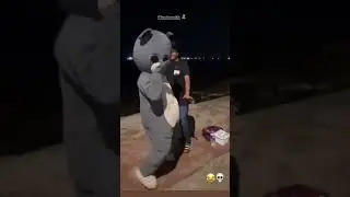 #funnyteddy viral dance video.  #prank #teddyboy #dance #funny #love #teddy #comedy #teddymasti