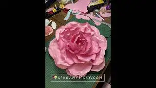 Giant rose