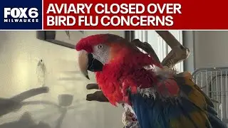 Waukesha public aviary closes over bird flu fears, seeking donations | FOX6 News Milwaukee