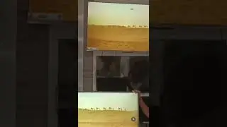 #unboxing LG 55 inch & haier 55 inch #video quality comment mein bataiyega#