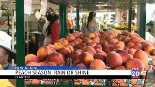 Why Clanton's peach season is a summer must for Central Alabama