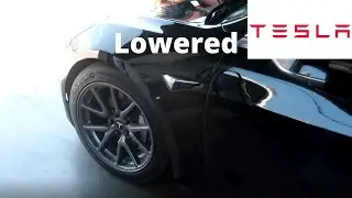 This is what a lowered Tesla looks like!