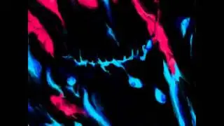 miseria  & STULTI 【ApeAttack　2nd sequence1】
