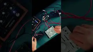 Live Modular: Hikari DUOS || Home Bake Instruments ARPS & HARMONICS [No Talking] (1 of 4)