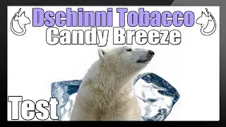 DSCHINNI TOBACCO - Candy Breeze | Eisb&auml;r im Eisw&uuml;rfel?!