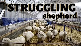 I'm struggling. Vlog 187