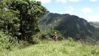 MOV04301.MPG