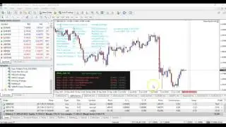 Forex Flex - Update Video 3