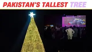 Pakistan's tallest tree | Bahria Town Karachi