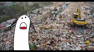 AOE 4 but it's with bots fr fr